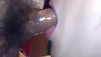 Blowjob As...