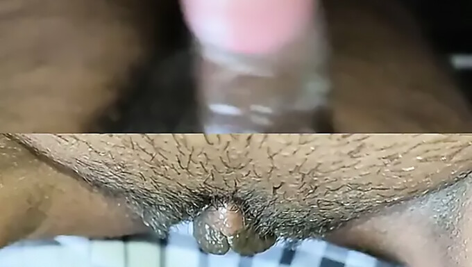 Indian Mature Couple Gets Fucked In Close Up